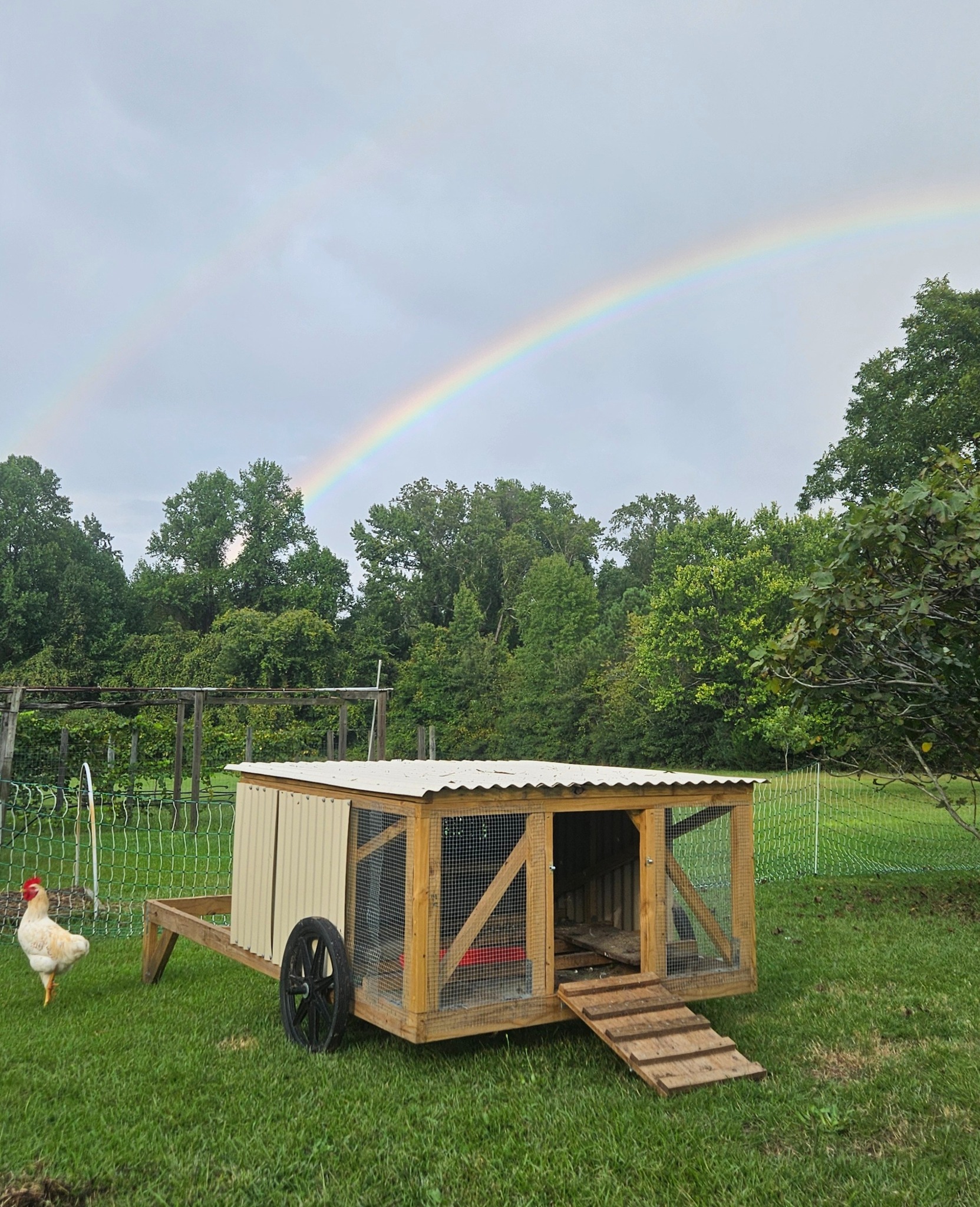 Rainbow with Tractor.jpg